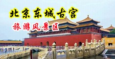 鸥美大黑鸡巴日逼69鸥美大鸡中国北京-东城古宫旅游风景区